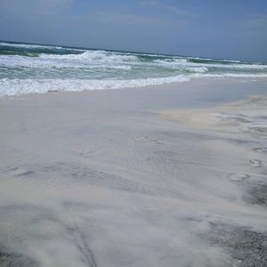 Meet your Posher, Tommy